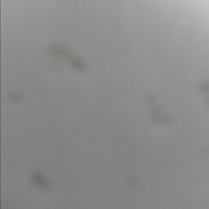 Meet your Posher, Nathaniel